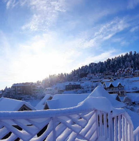 Evergreen Horizon Homestays
