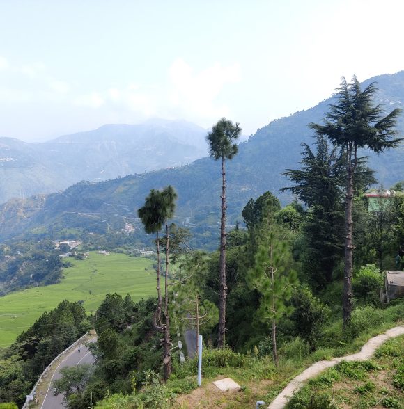 Hill-view Rooms Homestay