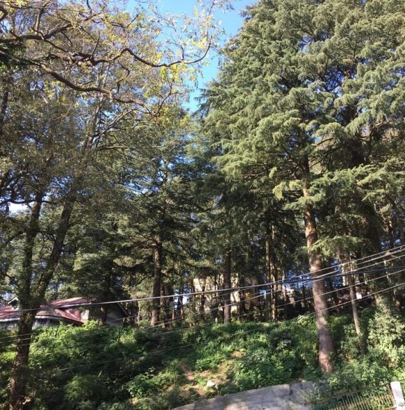 Oakridge Heritage Stay