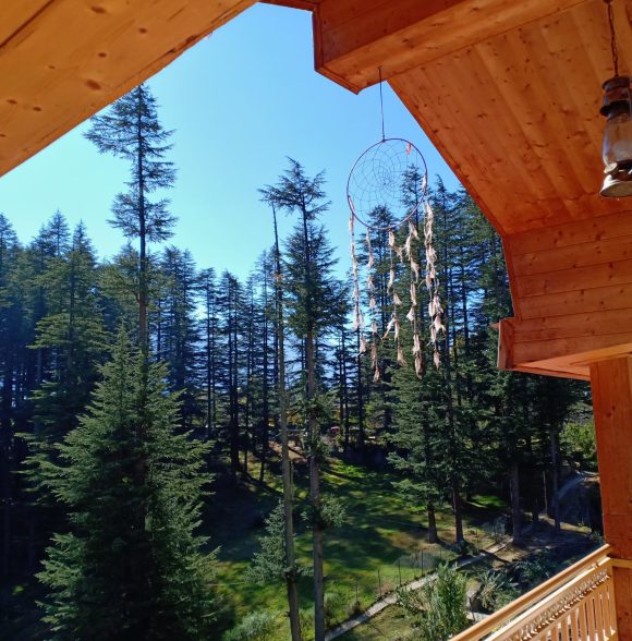 Haven Manali | Cozy Stay