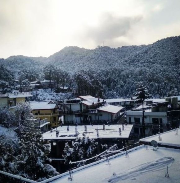 Evergreen Escape | A Cozy Stay in Dalhousie