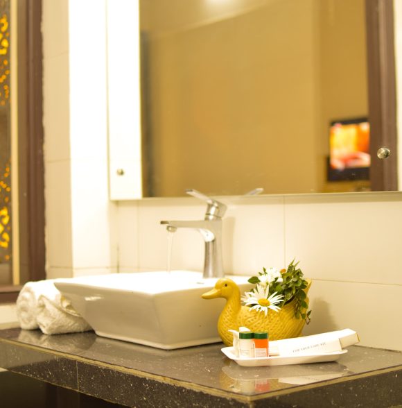 Alpine Retreat Manali