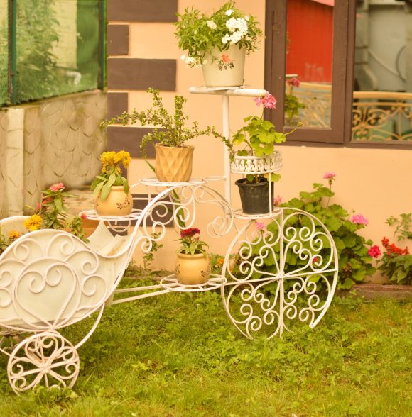 Alpine Retreat Manali