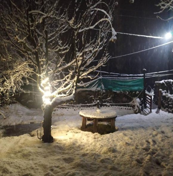 Mystic Trails Manali